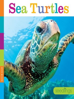 cover image of Sea Turtles